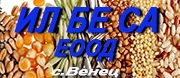 Ил Бе Са ЕООД