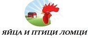 Яйца и Птици Ломци