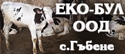 ЕКО – БУЛ ООД - Гъбене