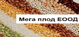 Мега Плод ЕООД