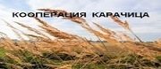 Кооперация Карачица
