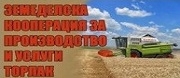 ЗКПУ Торлак