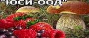 ЮСИ