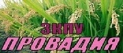 ЗКПУ Провадия