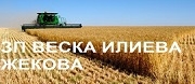ЗП Веска Илиева Жекова