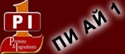 ПИ АЙ 1
