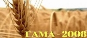Гама - 2008